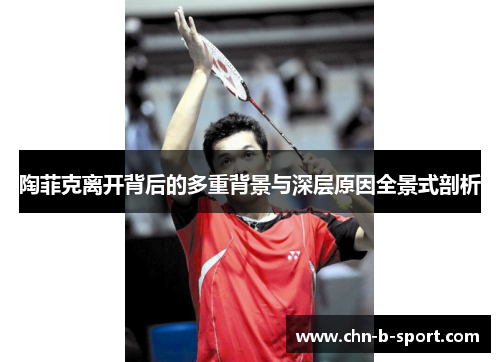 陶菲克离开背后的多重背景与深层原因全景式剖析