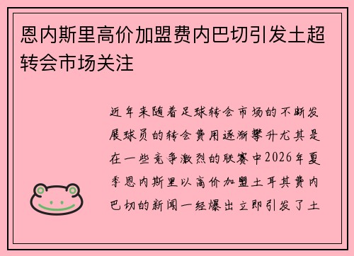 恩内斯里高价加盟费内巴切引发土超转会市场关注