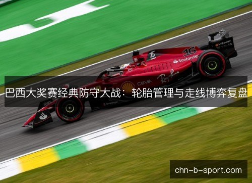 巴西大奖赛经典防守大战：轮胎管理与走线博弈复盘